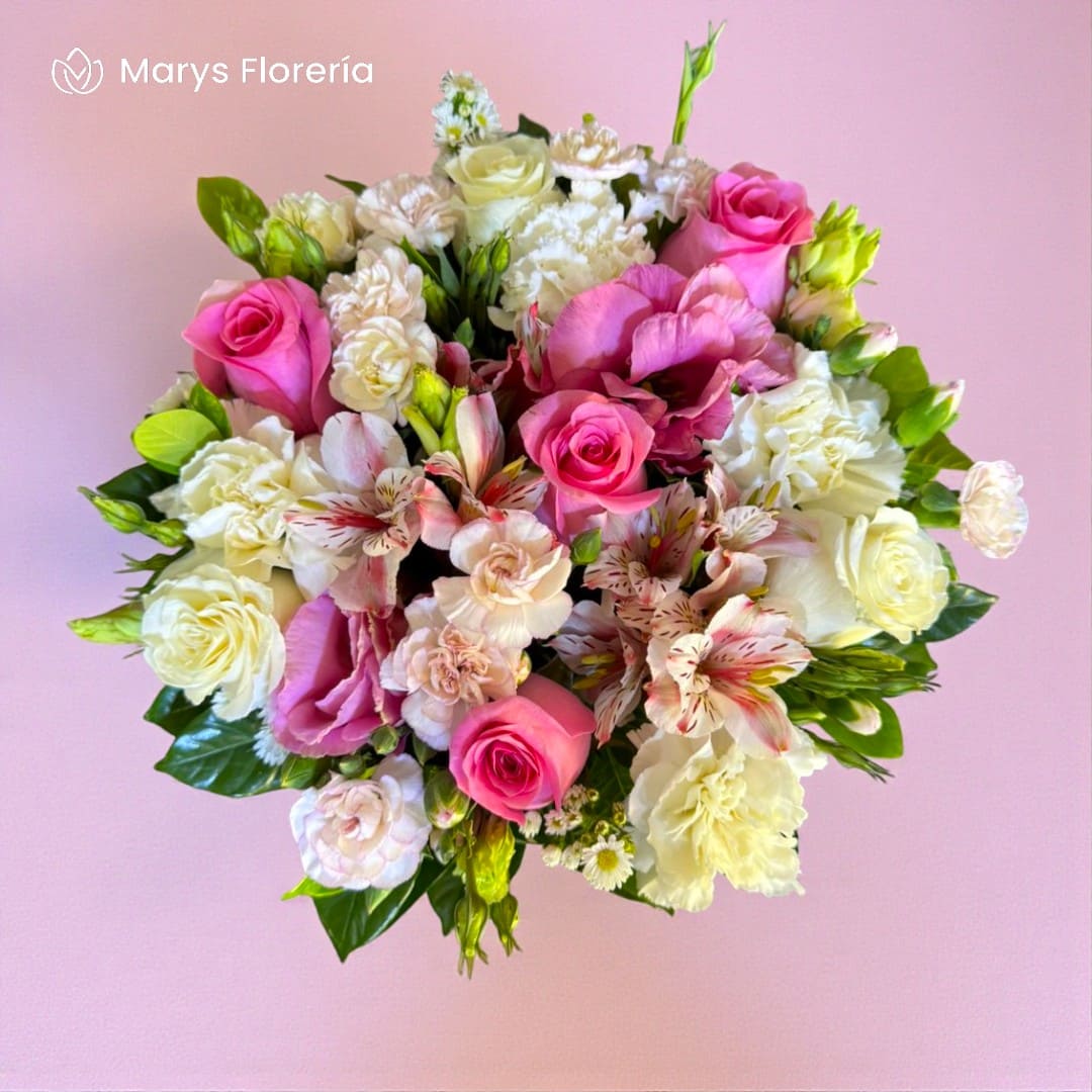 BOX PAOLA - Imagen 2