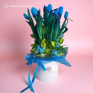 BOX TULIPANES AZULES