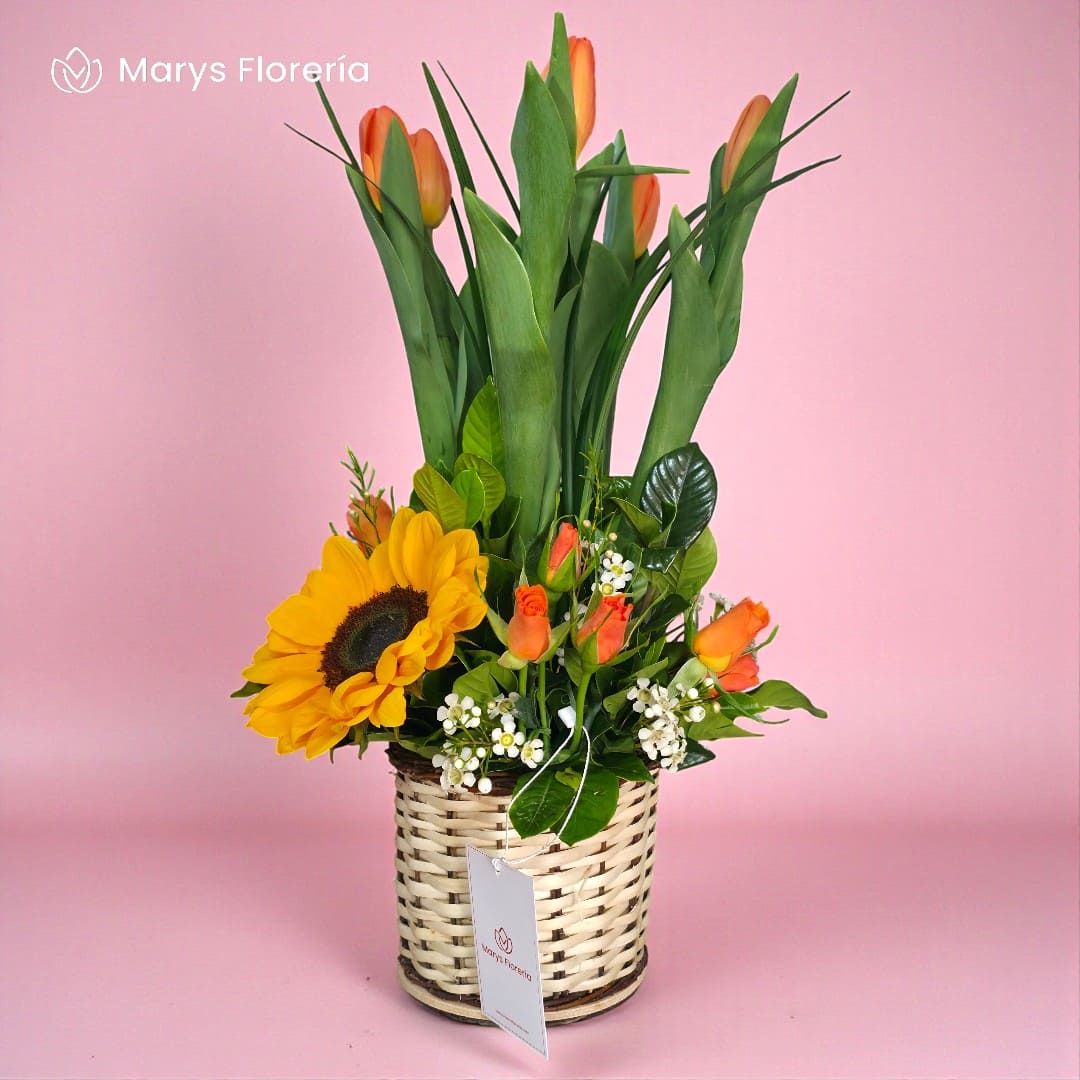 BOX KALEA - Imagen 2