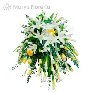 MANTO DESCANSA EN PAZ