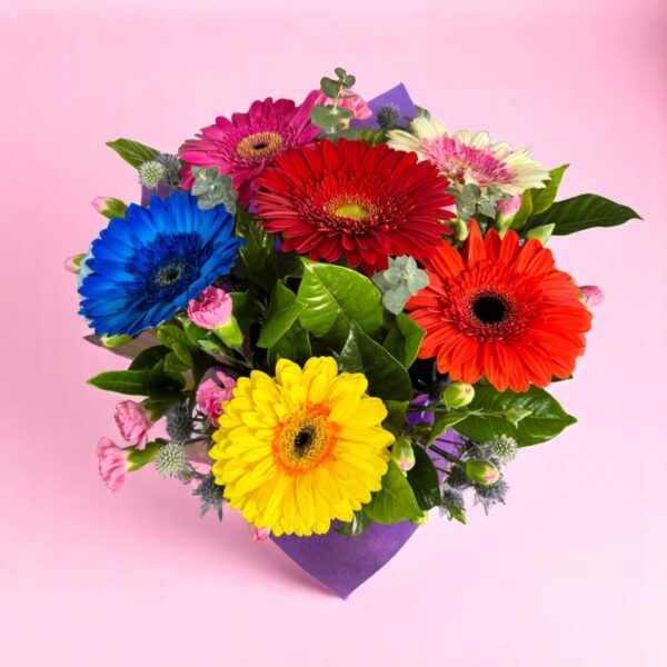 Box Esther - Imagen 2