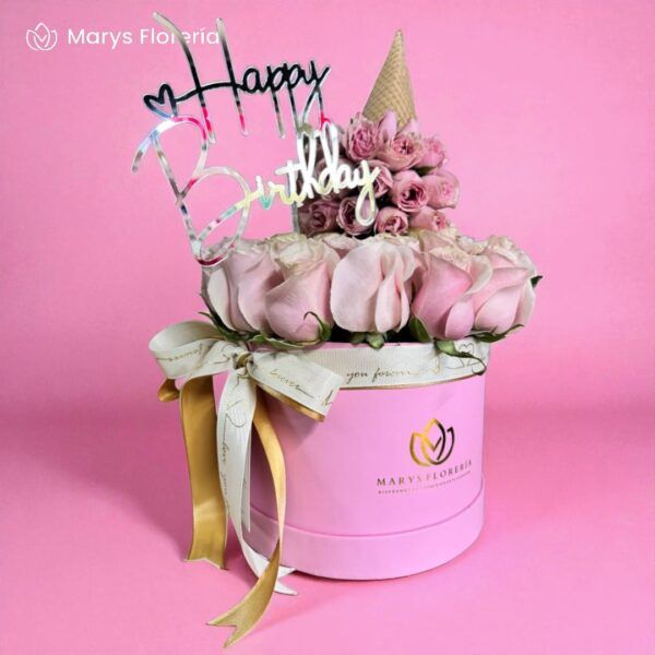 BOX GELATO - Imagen 2
