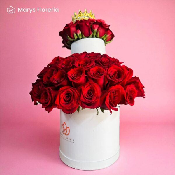 BOX REGINA LOVE - Imagen 2