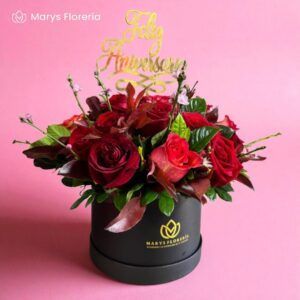 BOX ANNIVERSARY
