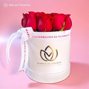 BOX HAKIM ROSAS ROJAS