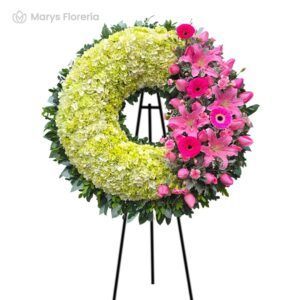 CORONA MAGENTA