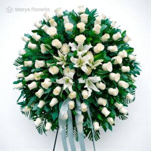 CORONA AMOR INFINITO