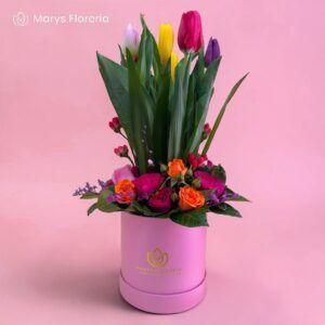 BOX TULIPANES ENCANTO