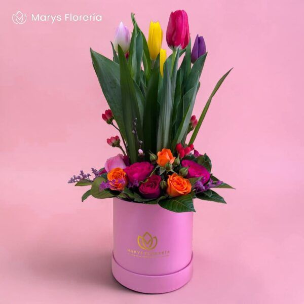 BOX TULIPANES ENCANTO