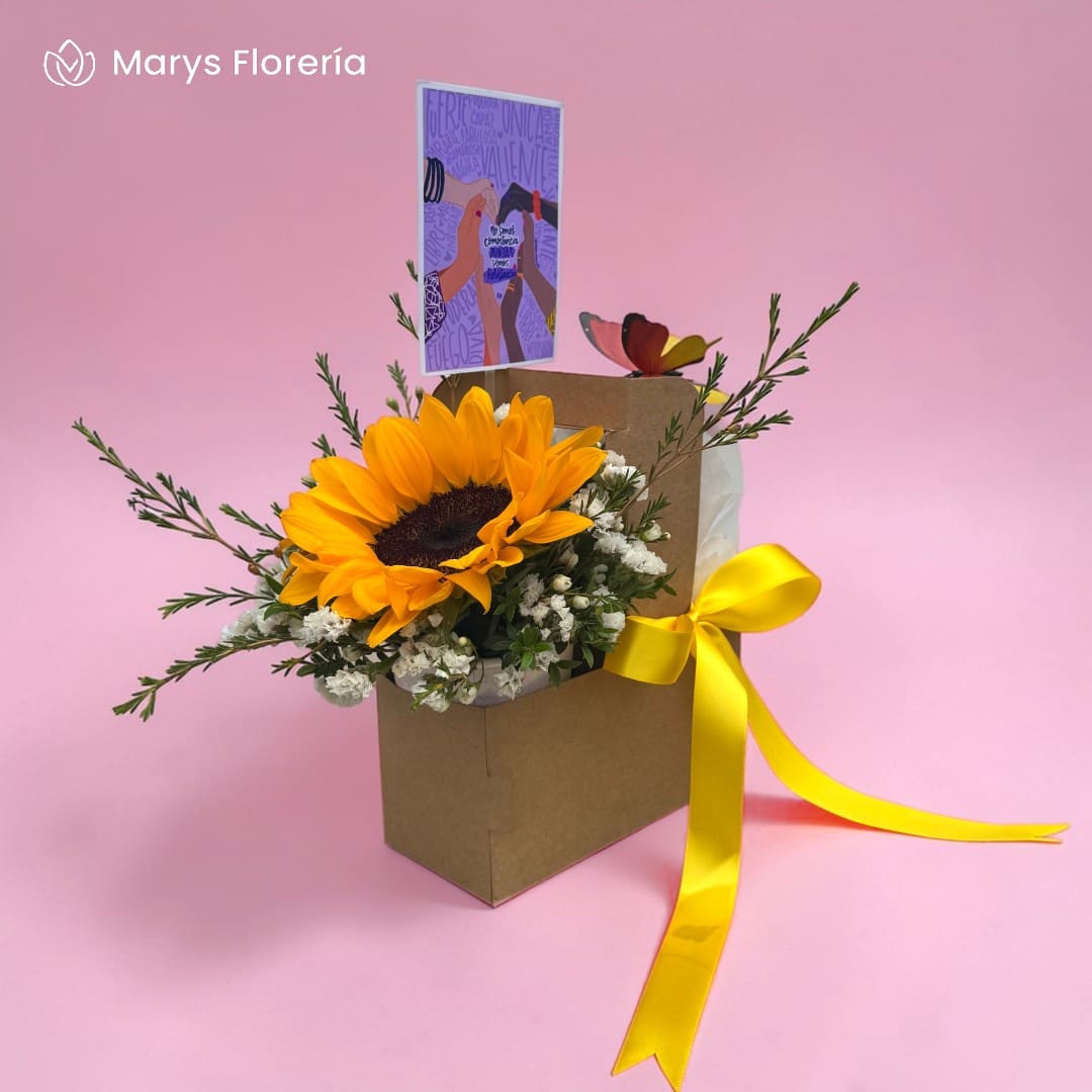 BOX ENCANTO - Imagen 2