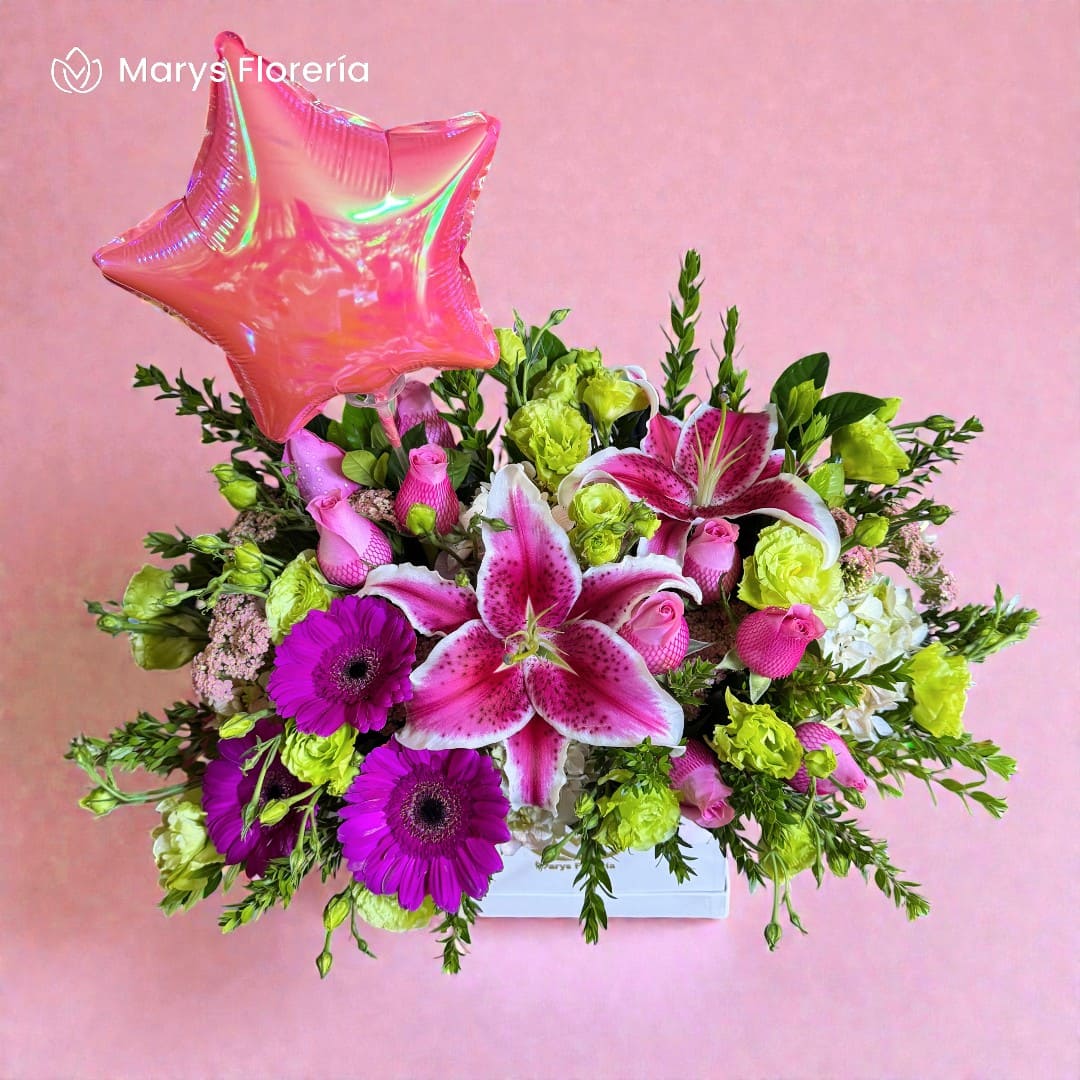 BOX MELINA - Imagen 3