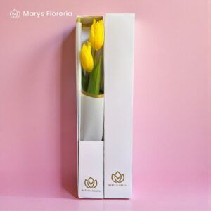 CAJA 2 TULIPANES
