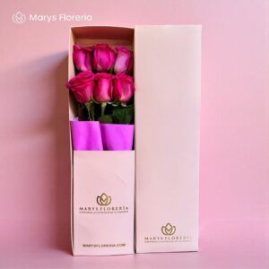CAJA ROSAS FUCSIAS