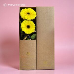 CAJA DUO GERBERAS