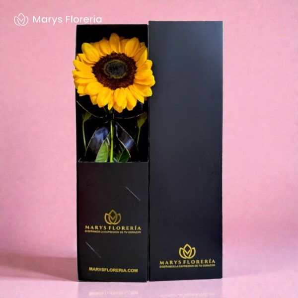 CAJA 01 GIRASOL