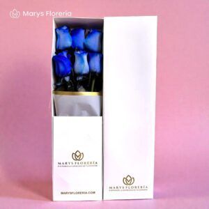 CAJA 06 ROSAS AZULES