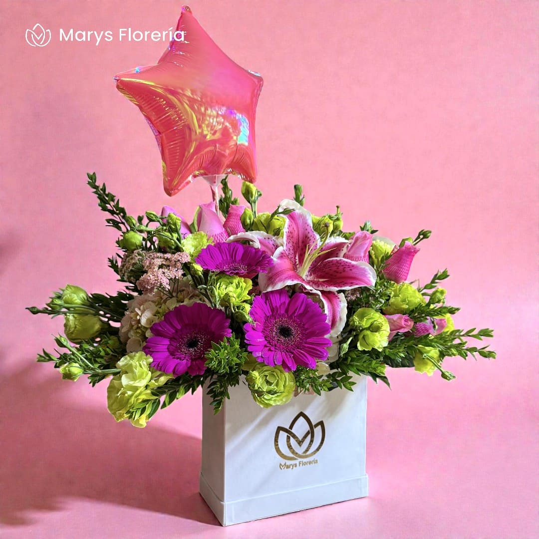 BOX MELINA - Imagen 2