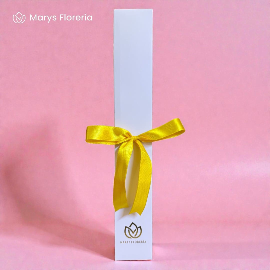 CAJA 2 TULIPANES - Imagen 2