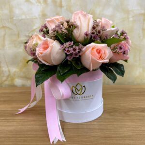 BOX AROMA