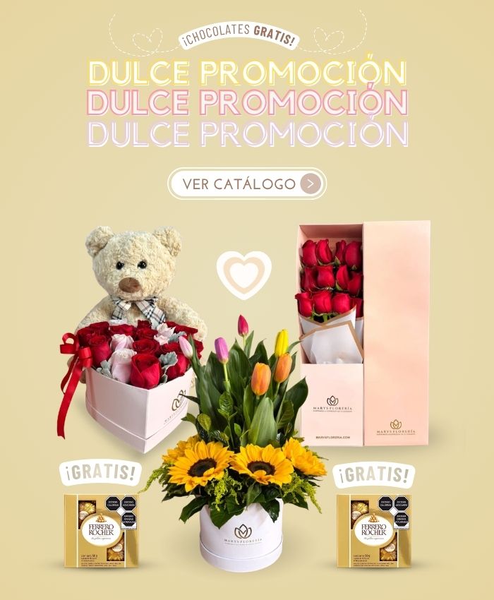 FORMATO MOVIL PROMOCIONES