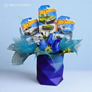 BOX HOT WHEELS PRIME