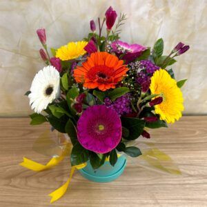 BOX GERBERAS COLORS