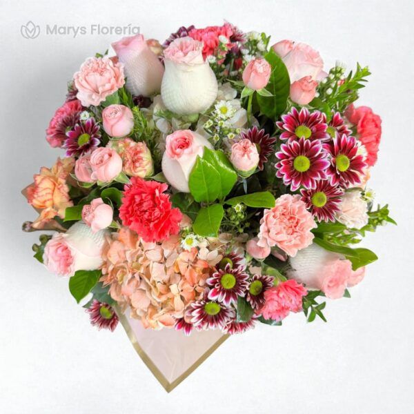 BOX SASKIA - Imagen 2