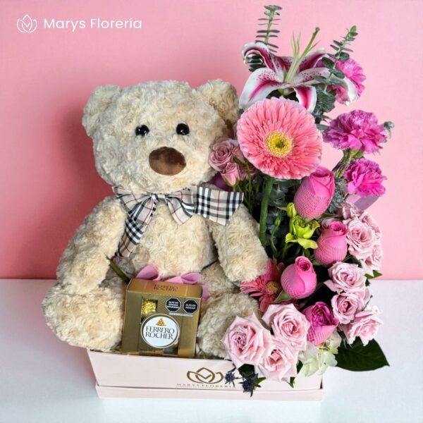 BOX ALESSIA