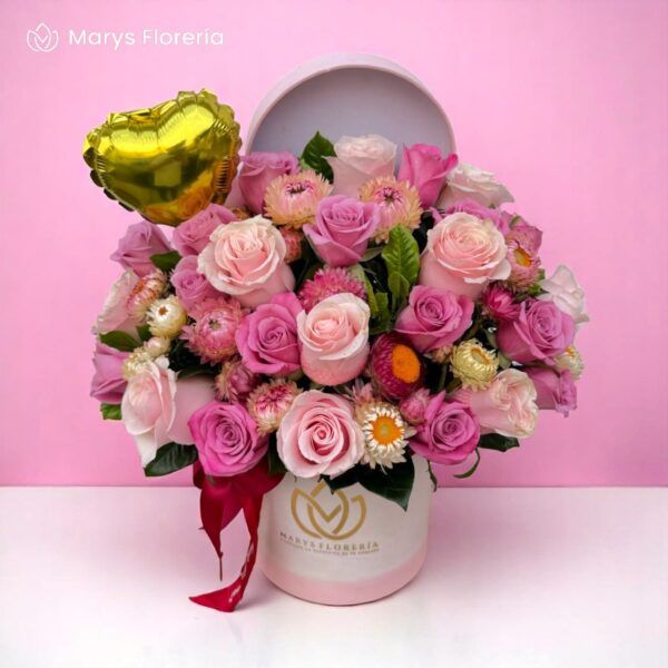 BOX BELINDA - Imagen 2
