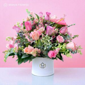 BOX MARJORIE