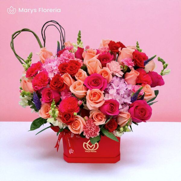 BOX SAMIRA - Imagen 2