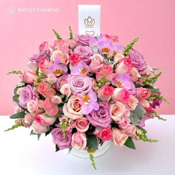 BOX JULIANA - Imagen 2