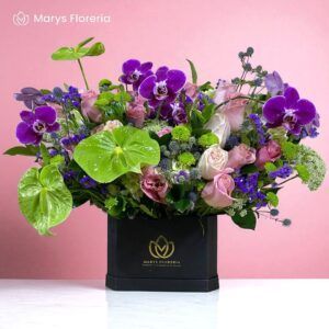 BOX ROSSANA LUXURY