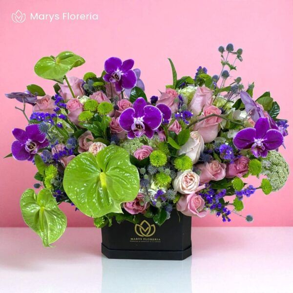 BOX ROSSANA LUXURY - Imagen 2