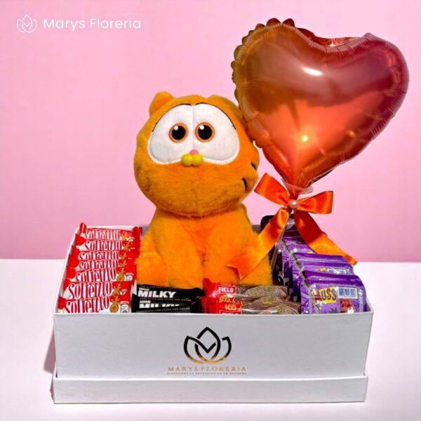 Gift Box Garfield