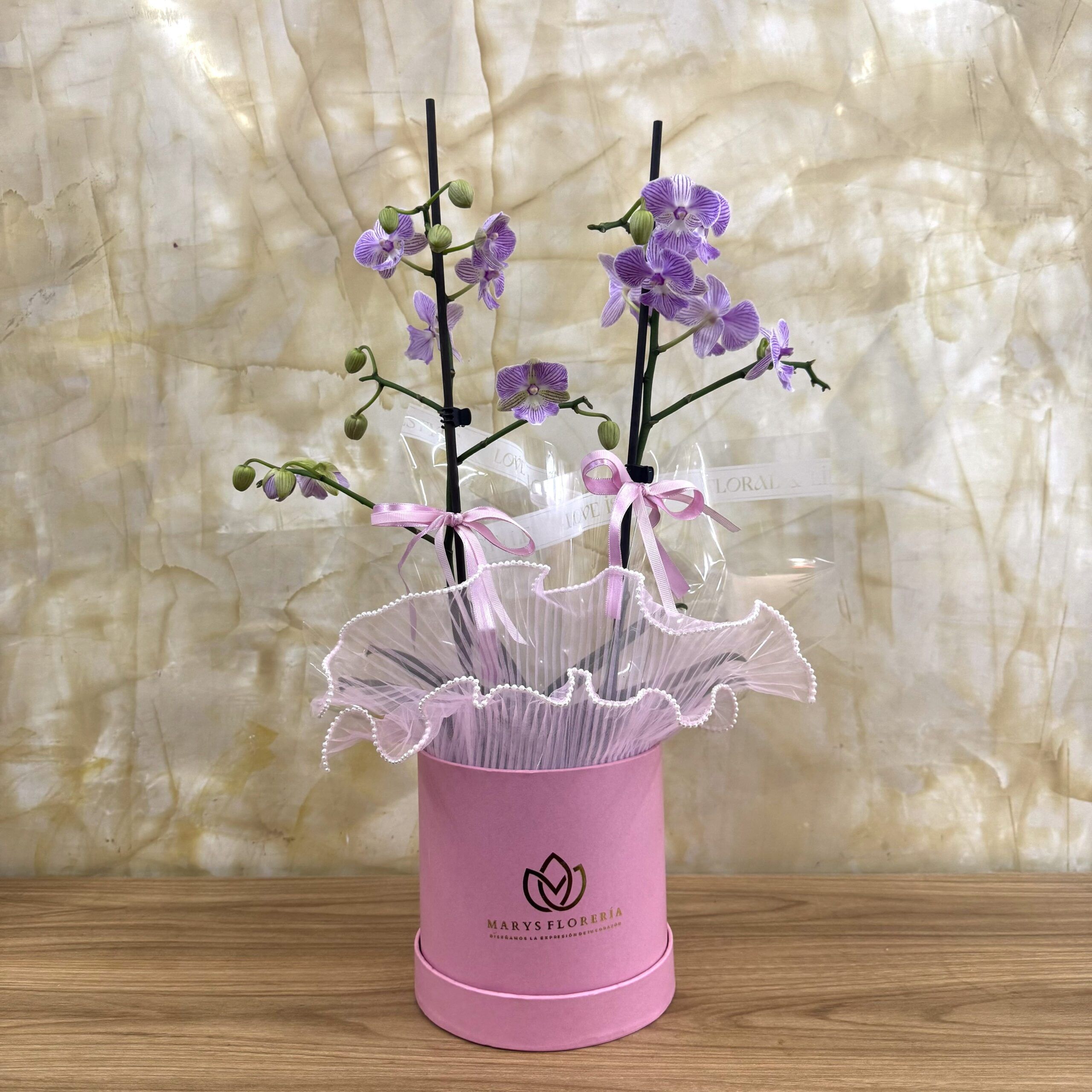 ORQUIDEA MINI DOBLE VARA ROSADA