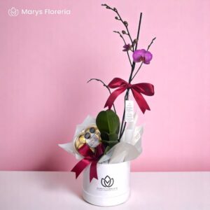 PLANTA DE ORQUÍDEA RAMIFICADA FUCSIA DE RAYAS