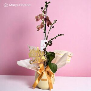 ORQUÍDEA COBRE RAMIFICADA