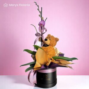 ORQUIDEA RAMIFICADA BEAR