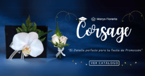 CORSAGE
