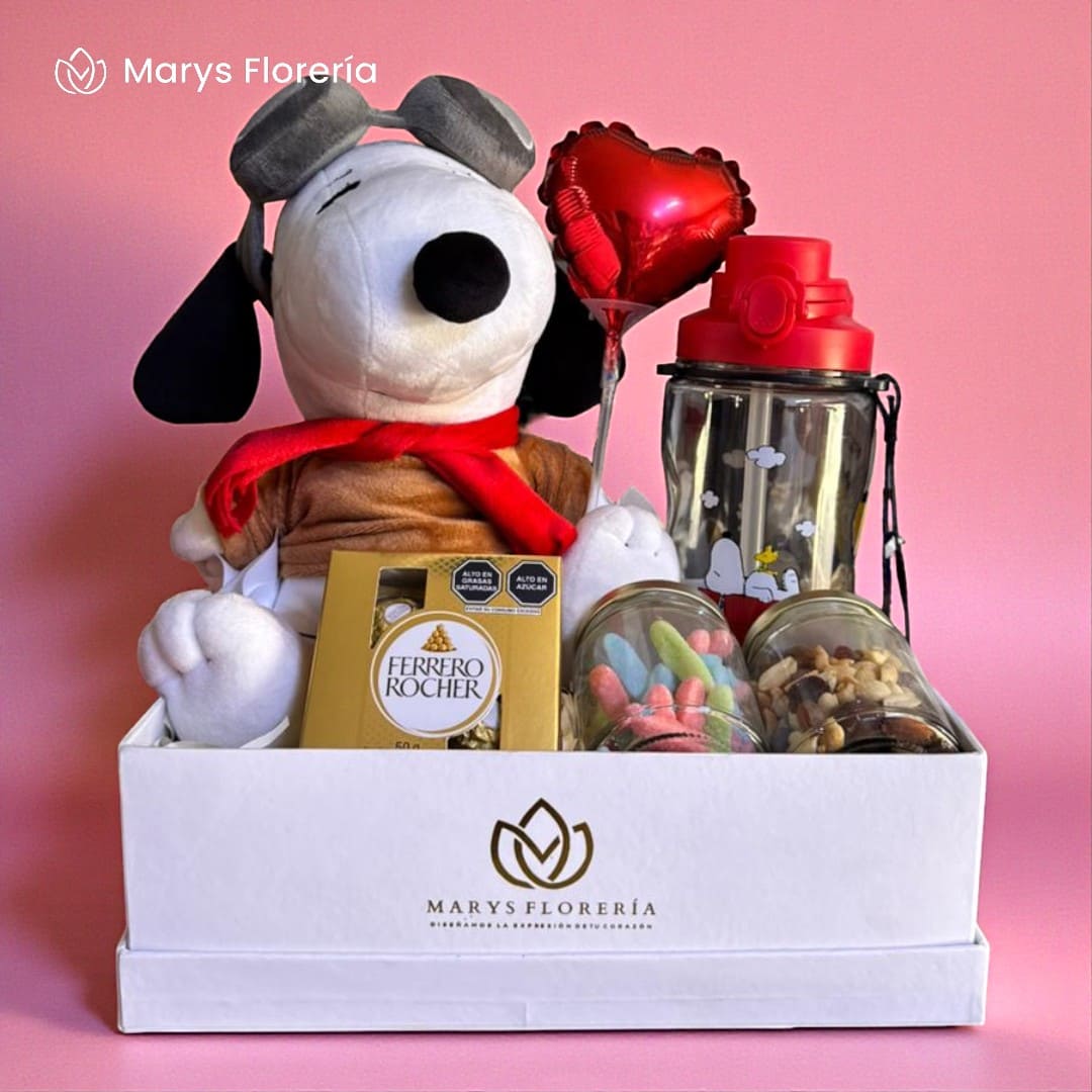 GIFT BOX SPOOPY AVIATOR