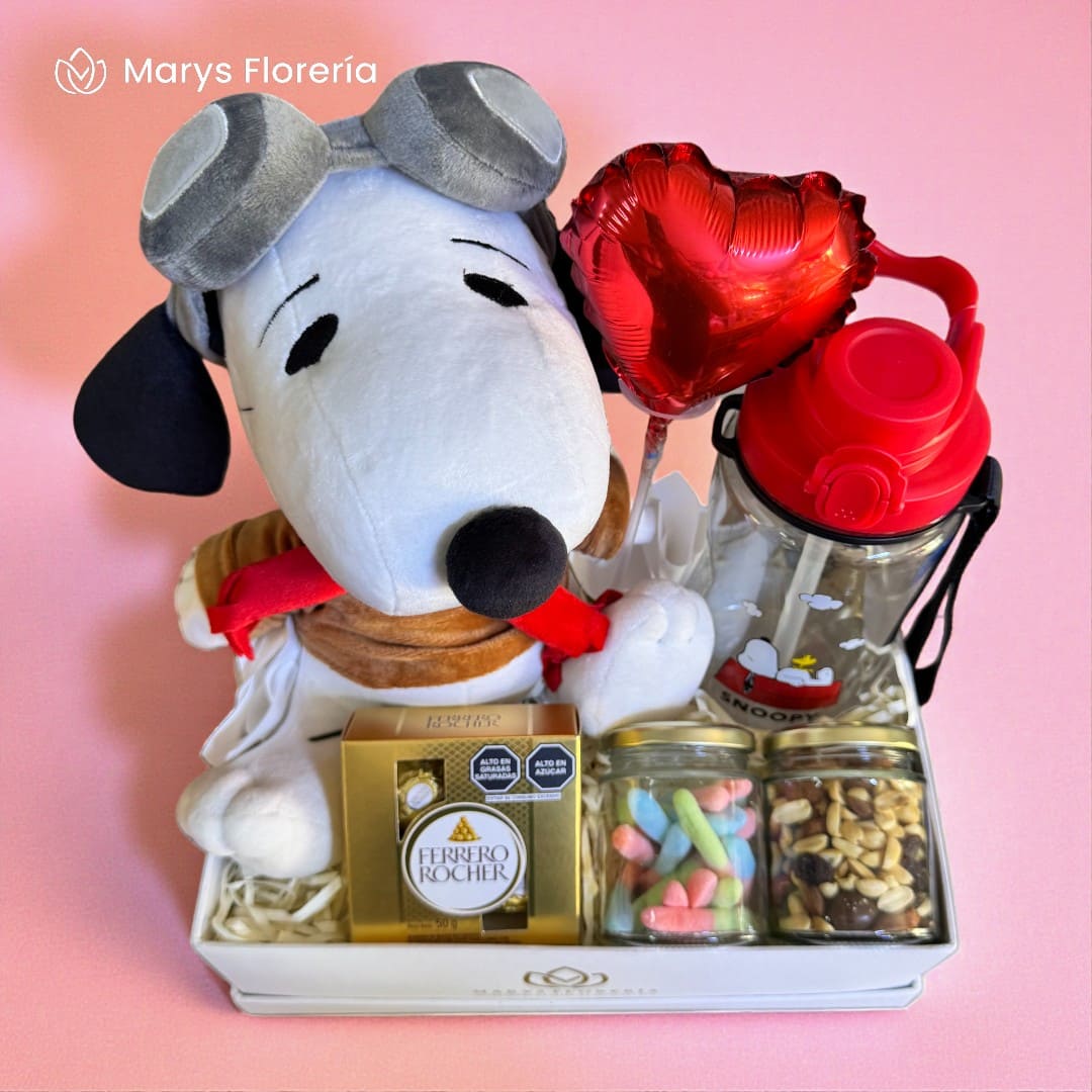 GIFT BOX SPOOPY AVIATOR - Imagen 3