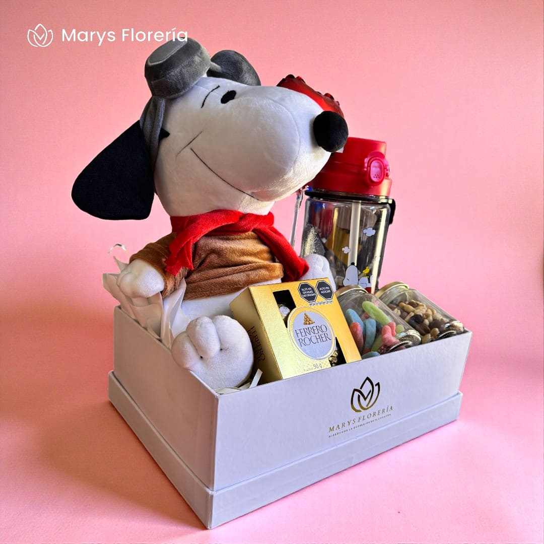 GIFT BOX SPOOPY AVIATOR - Imagen 2