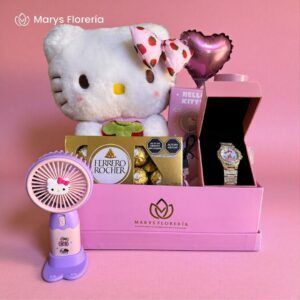 GIFT BOX HELLO KITTY NUDE