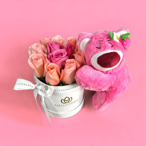 BOX LOTSO LITE - Imagen 2