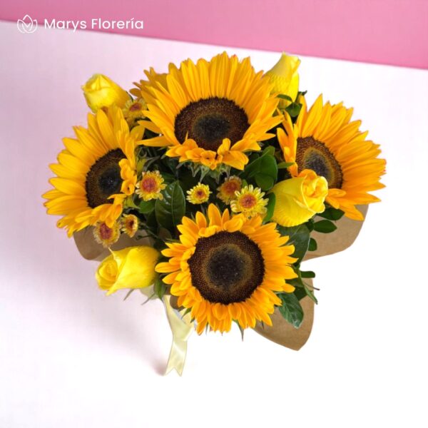 Box Raquel - Imagen 2