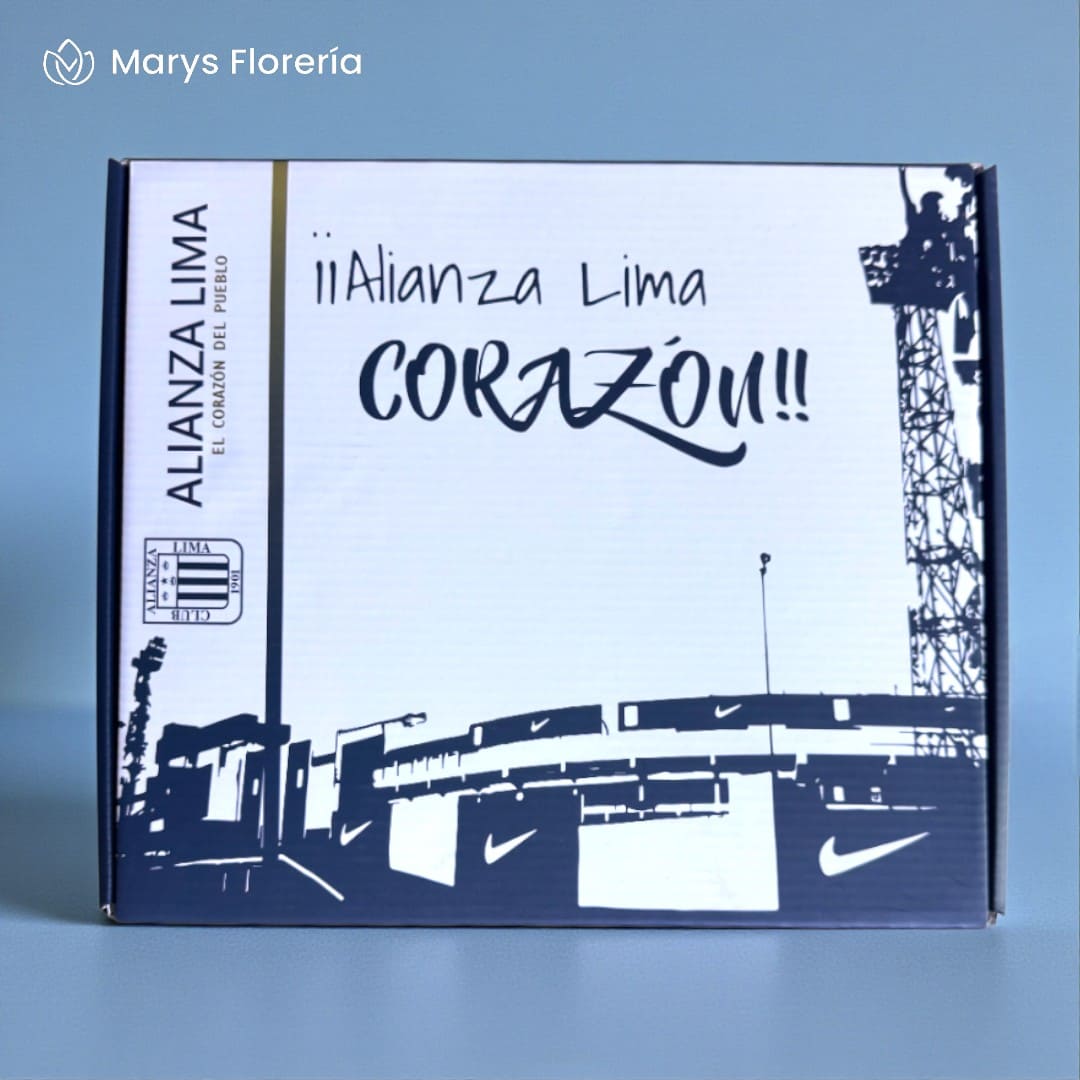 CLOSED BOX GRONE - Imagen 2