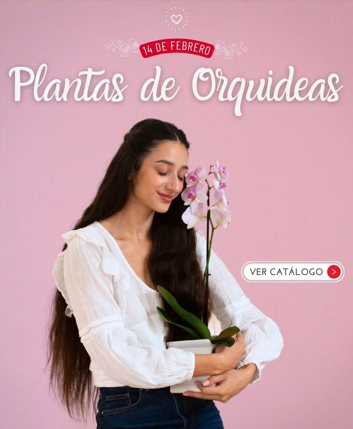 orquideas (1)