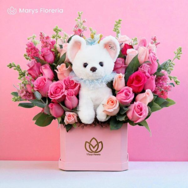 BOX PERLA - Imagen 2