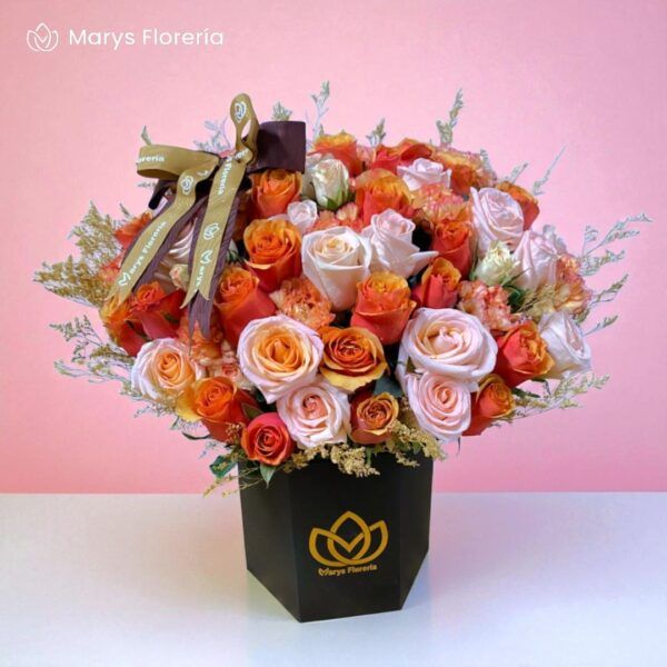 BOX DAISY - Imagen 2